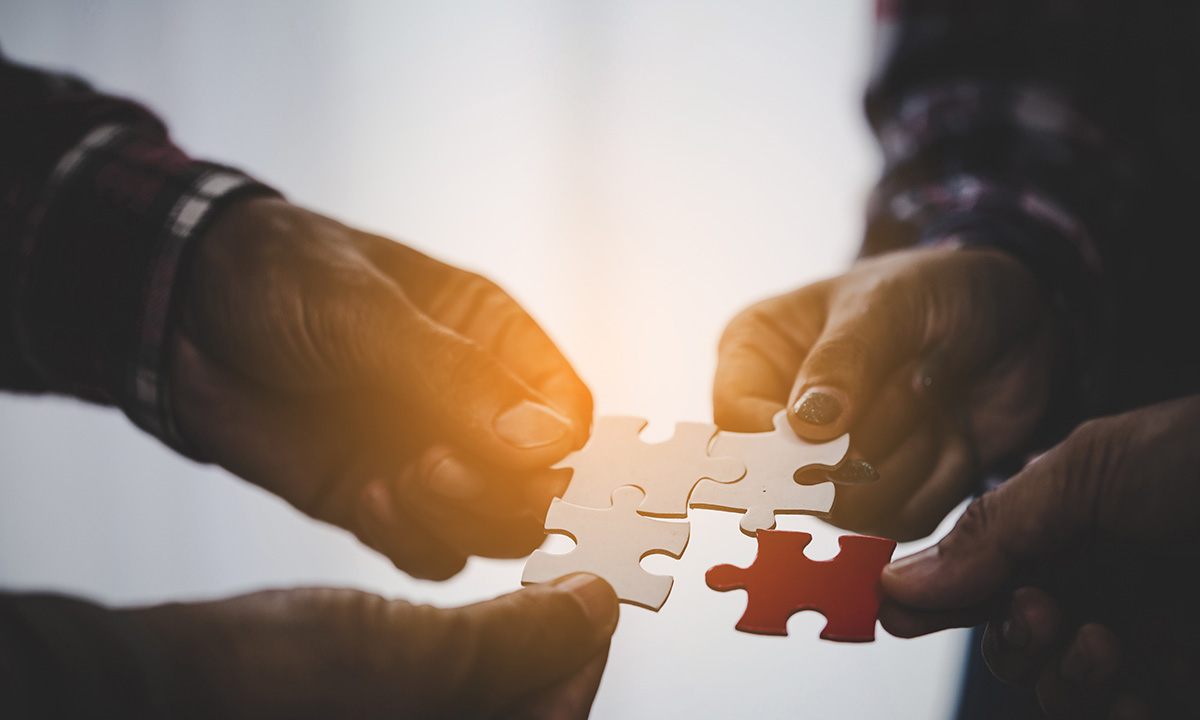 Putting the Pieces Together: Family Dynamics and Sibling Issues in Caregiving
